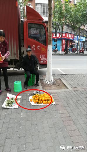 弱势儿童多元教育 第241页