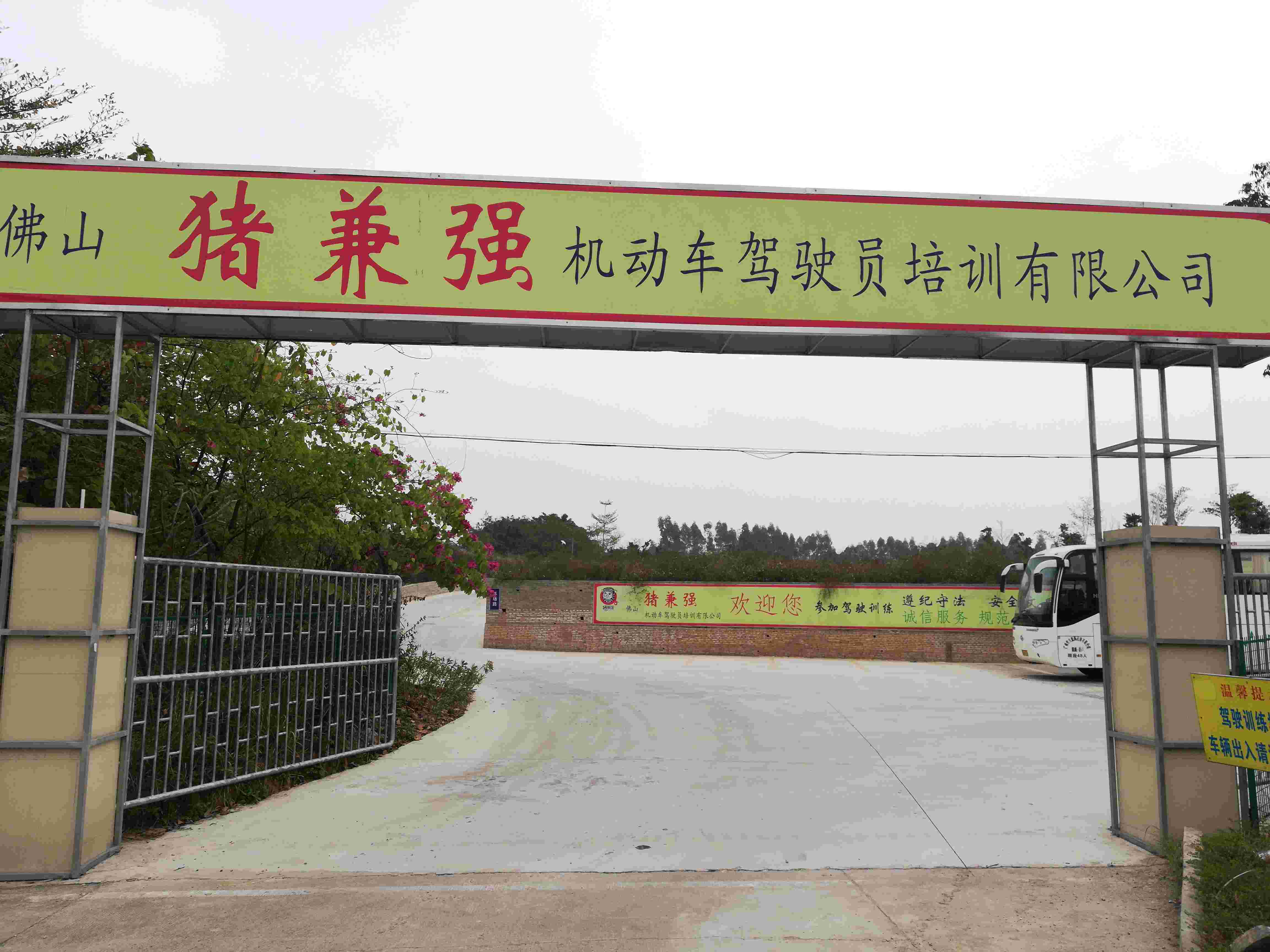 猪坚强驾校最新动态更新，最新消息汇总