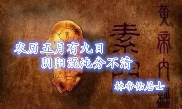 权力与智慧的较量，蚀心毒后最新章节九笙对决