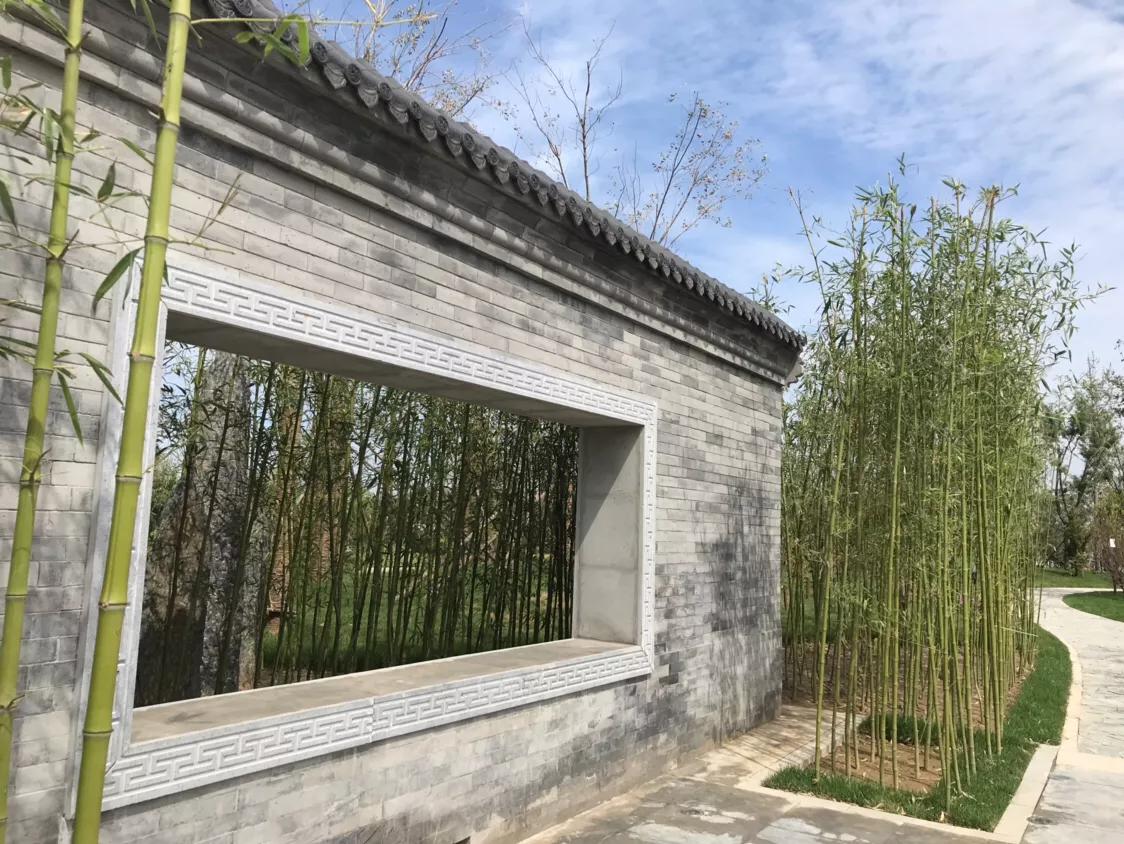 邢台吧贴吧最新消息，城市角落的温馨日常揭秘