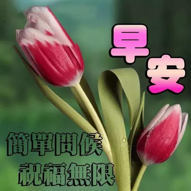 最新早上好表情图片，温馨日常的晨间趣事问候