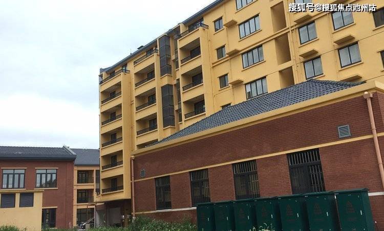郑州雁鸣湖镇发展最新动态，双刃剑效应下的观察与见解