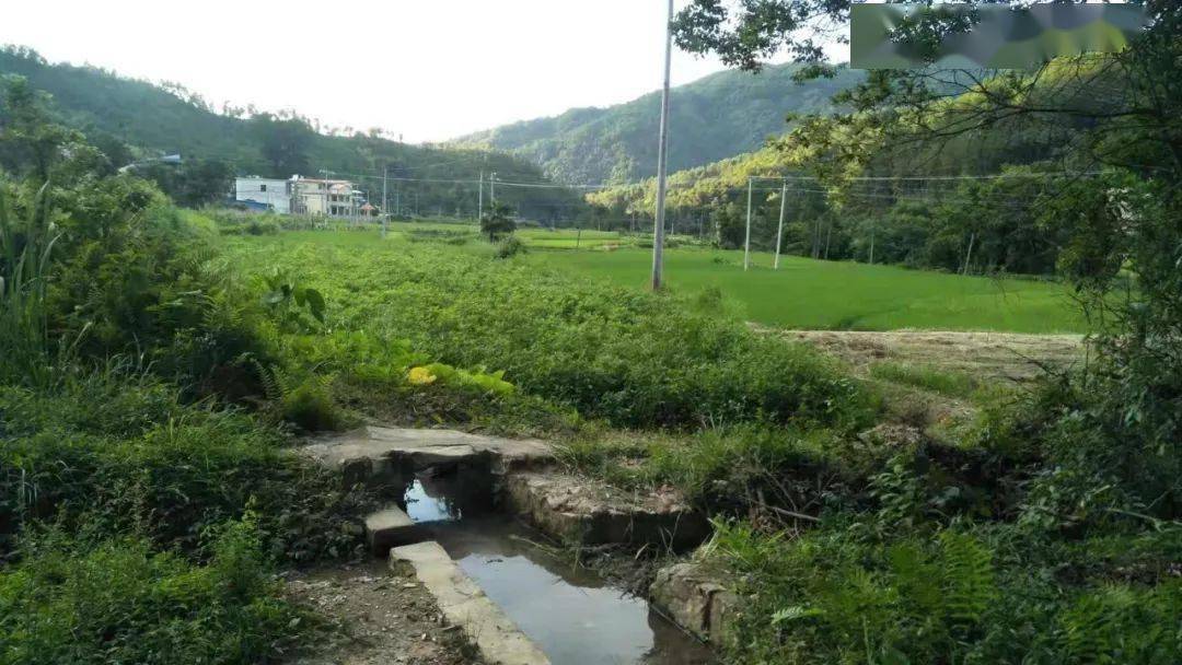 江西于都宽田，自然美景探索之旅，追寻内心平和与宁静的最新消息