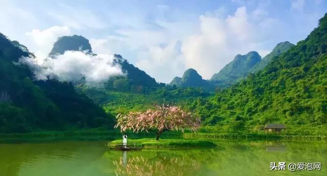 清远曾贤林与自然美景的邂逅，内心宁静之旅的最新消息