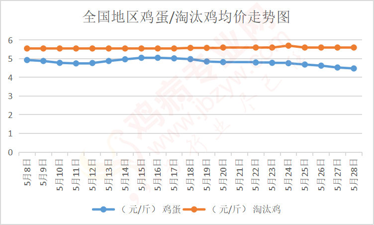 最新鸡蛋市场走势及分析概览