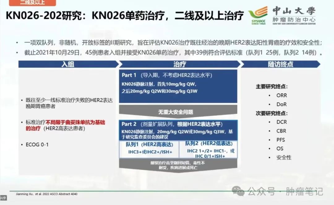 最新癌症药物治疗详解，步骤指南与药物选择建议