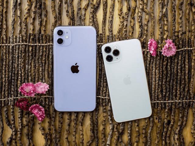 2024新奥正版资料免费，绝对经典解释落实_iPhone9.49.10