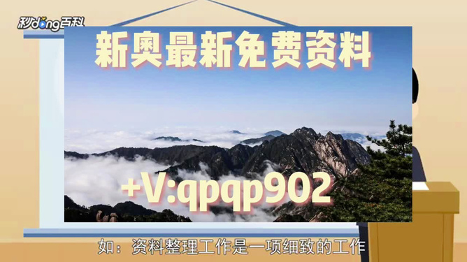 2024年新奥正版资料免费大全，效率资料解释落实_BT28.7.42