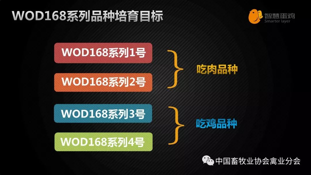 管家婆一哨一吗100中，时代资料解释落实_网页版44.48.85