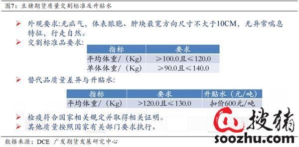 2024今晚澳门开什么号码,远景落实解答解释_模拟版7.162