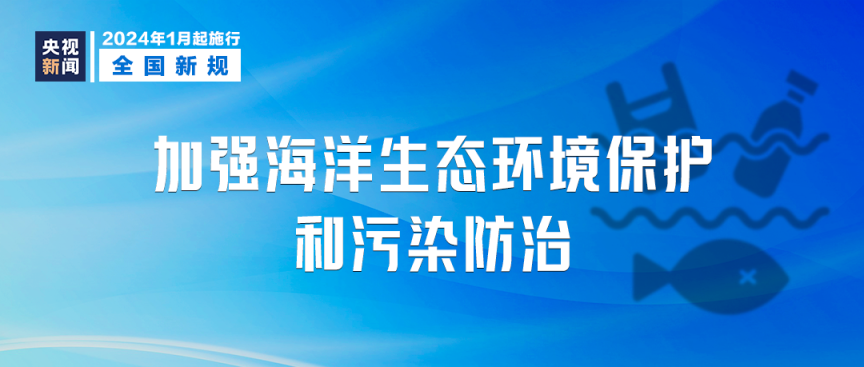 新澳2024年最新版资料,精准分析落实方案_开发品5.385