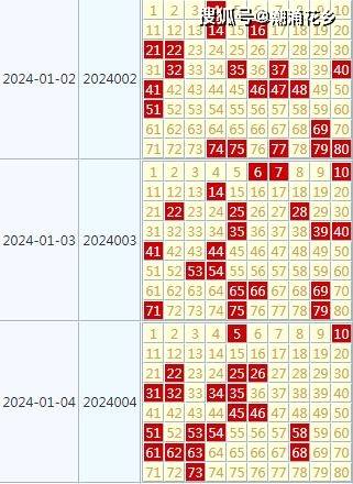 2024澳门天天开好彩大全开奖记录走势图,重点探讨解答现象_超强版9.676