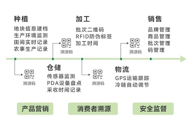 三肖必中特三肖必中,深度研究解答解释路径_The品1.333