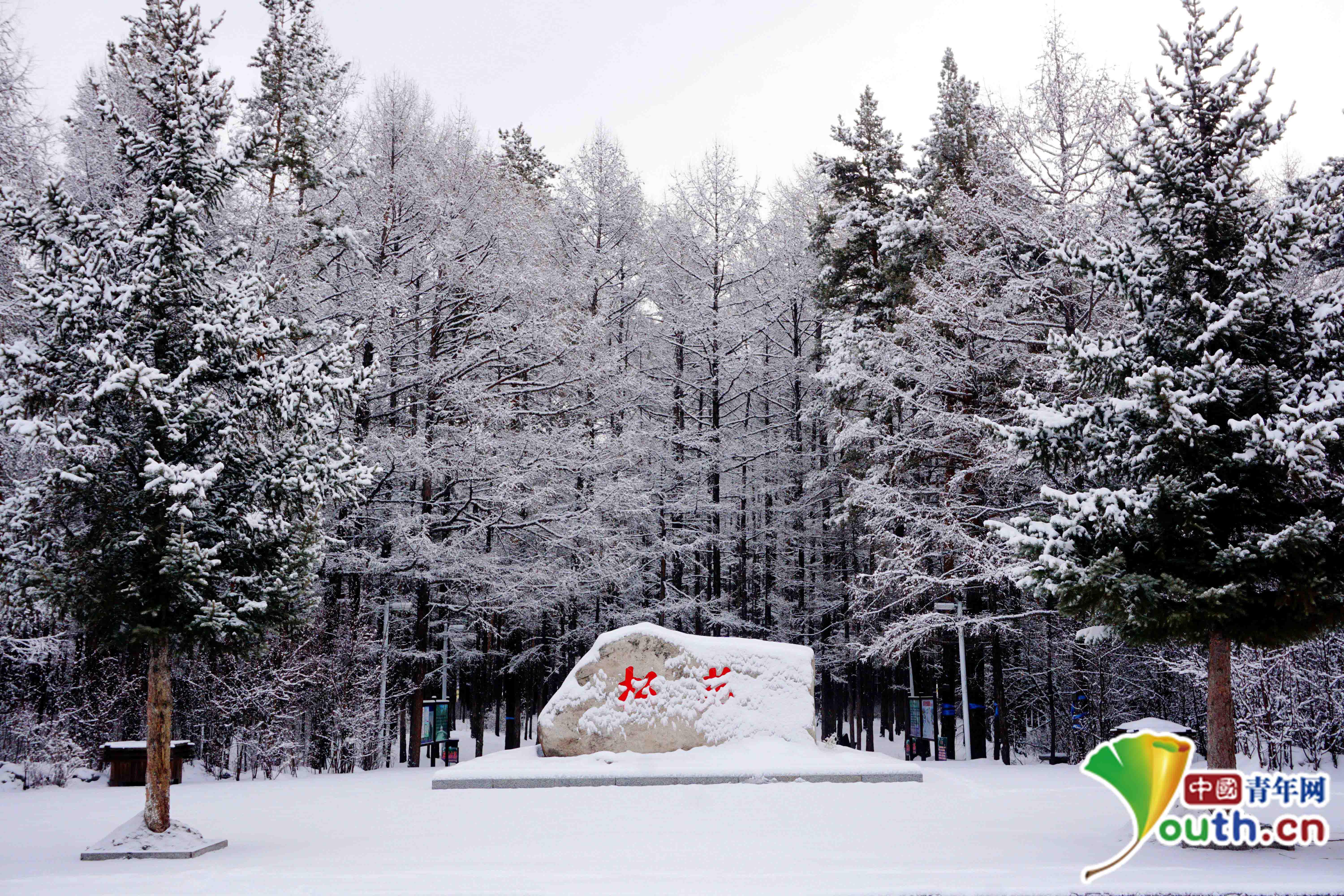 中国最北城市漠河的雪舞盛宴，漠河降雪纪实