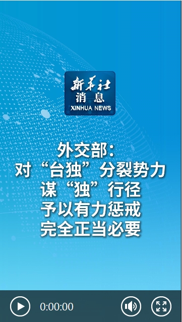 新奥天天精准资料大全_外交部说台独与台海和平水火不容,平衡策略实施_pack58.65.33