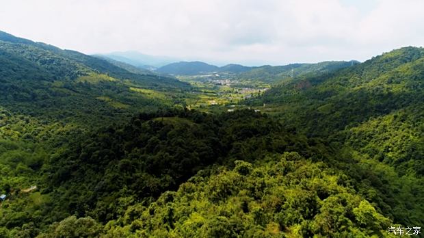 新澳门天天开彩二四六免费_哀牢山发现全球仅千只的鸟,全面应用数据分析_CT56.41.58