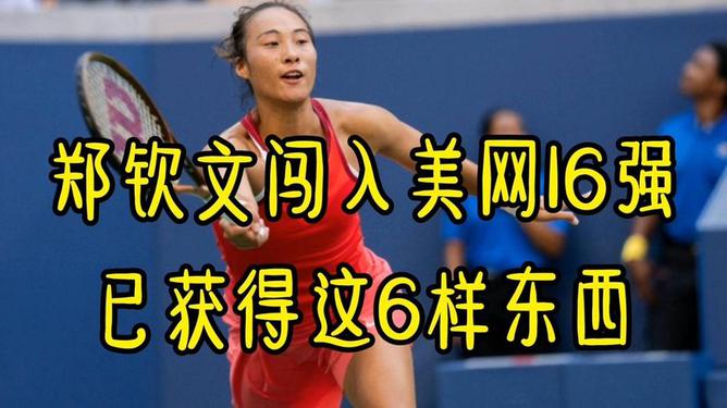 2024新奥正版资料免费提拱_郑钦文再次吐槽美网陪练水平,确保问题说明_旗舰版52.78.91