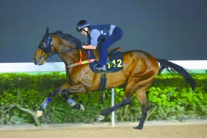 香港马开奖2024年_女子头戴鲨鱼夹摔倒后成植物人,权威分析解释定义_VIP92.88.89