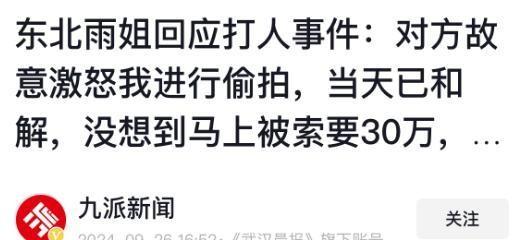 东北雨姐粉条厂家遭巨额罚款事件，质量与监管的重要性透视