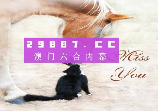 4949精准澳门彩最准确的,人力资源落实方案_RP65.01