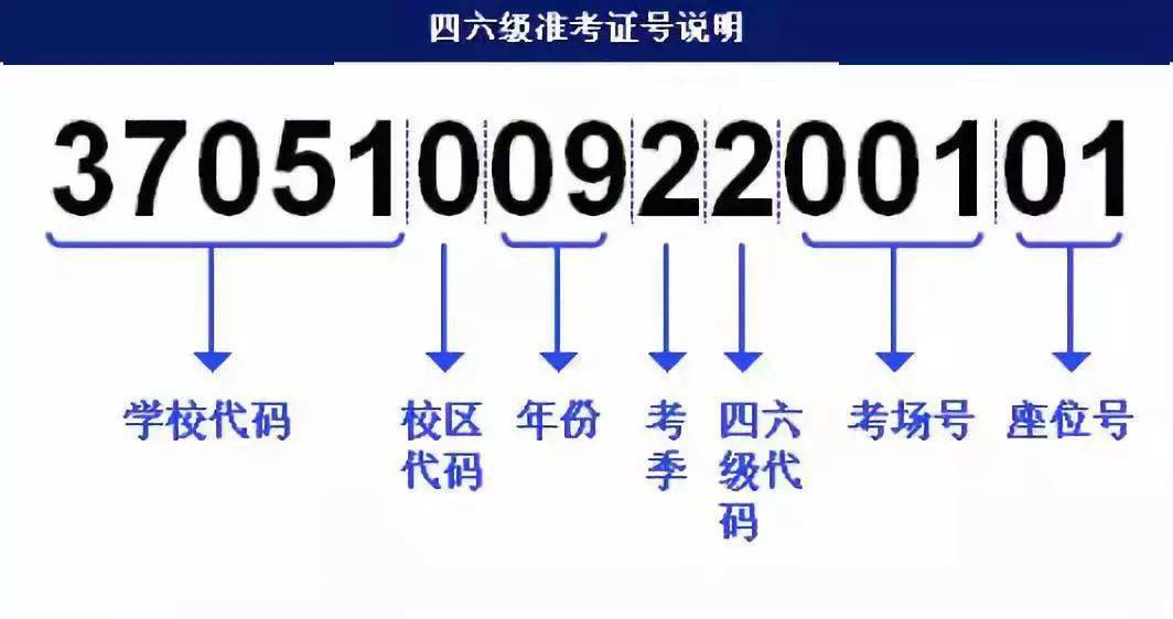 7777788888王中王开奖十记录网,迅捷解答策略解析_全球集56.176