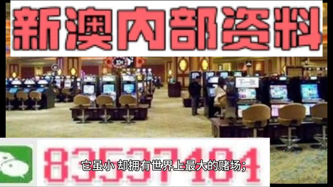 2024新澳门正版精准免费大全,实时说明数据解析_特惠版30.339