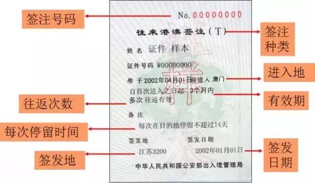 新澳门资料大全最新版本更新内容,高效性策略设计_透明款81.404