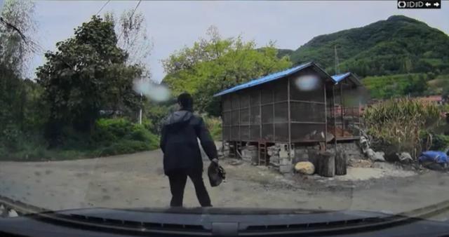 东北雨姐诚恳道歉并推出高科技产品，愿承担法律责任，科技让生活更精彩