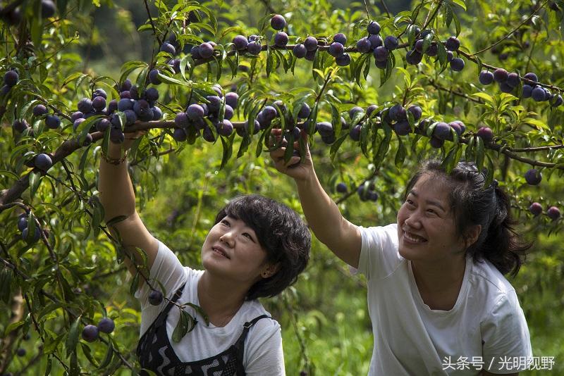 金秋丰收盛宴，农民笑颜与探索自然美景之旅