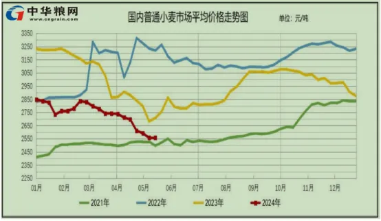 最新小麦价格行情深度解析与趋势预测