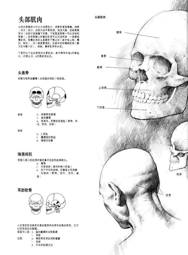 最新女生头像时尚魅力合集，一网打尽潮流风尚！