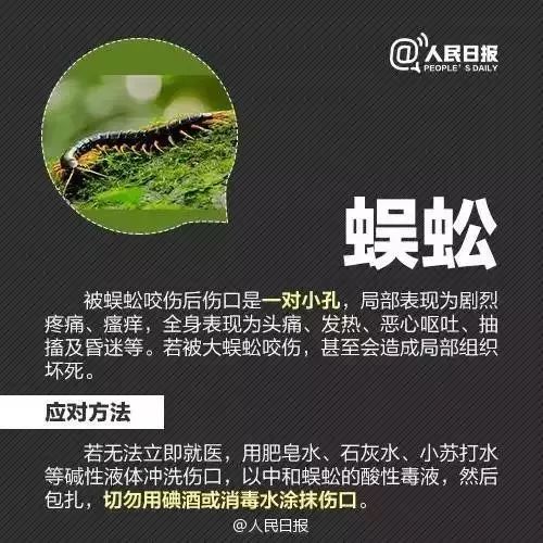 小虫网最新招聘启事，寻找未来技术领军人才