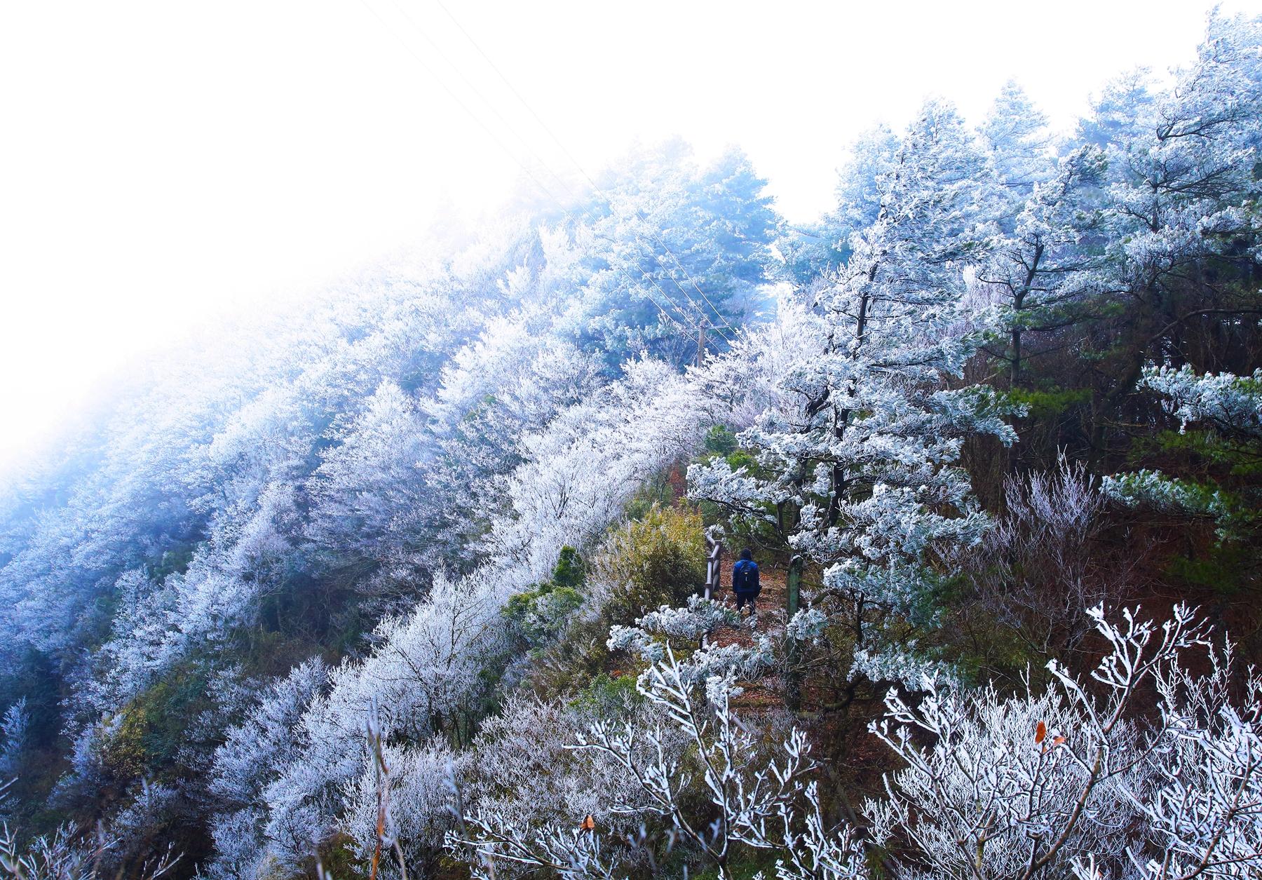 最新退休年龄规定与探索自然美景的旅行之旅