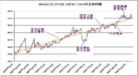 最新獭兔价格概览，市场走势、影响因素与前景展望