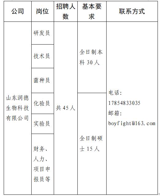 新泰最新招工信息全面概览