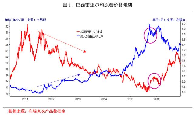 糖价最新动态，市场更新与甜蜜日常揭秘