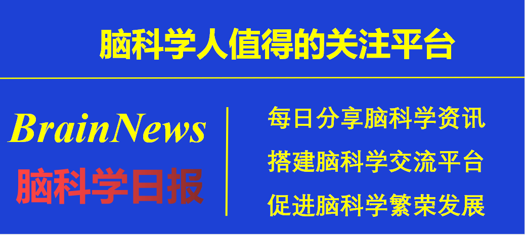 眉县招聘网最新招聘信息，携手学习变化，拥抱自信成就，共赴成功旅程