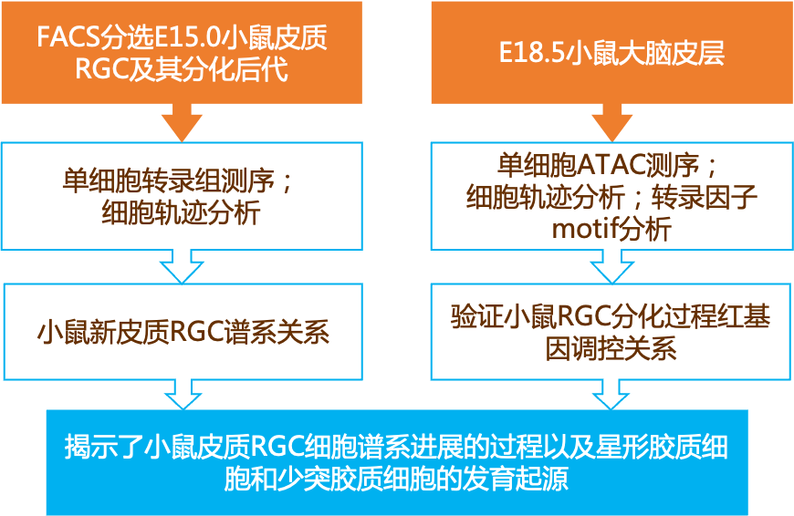 北京水木医学生物发展基金会 第181页