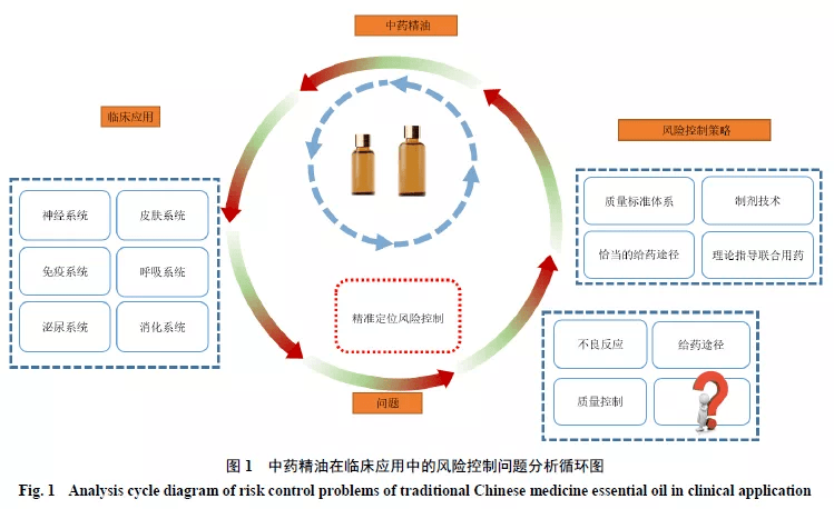 “高效性策略实施探究：YZJ2.62.27随行版研究”