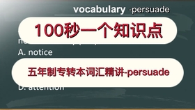 管家婆一码一肖全解析指南，TTQ2.13.78极速版详解