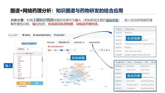 新奥精准免费资料分享，解析需求分析落实策略_KWG仿真版