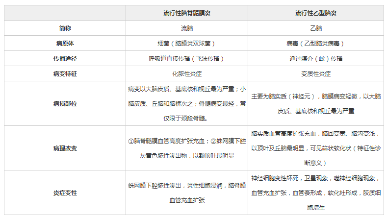 2024新奥官方正版资料无偿分享，详尽解读与鉴定——NIM5.43.69稀有版