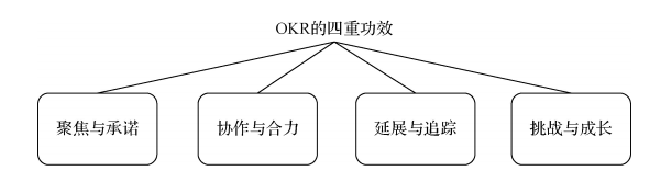 实效策略解析与互动版BOQ6.24.41深度解读