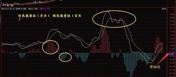 香港免费资料精准发布，全面解答执行_SAW3.22.26随机版