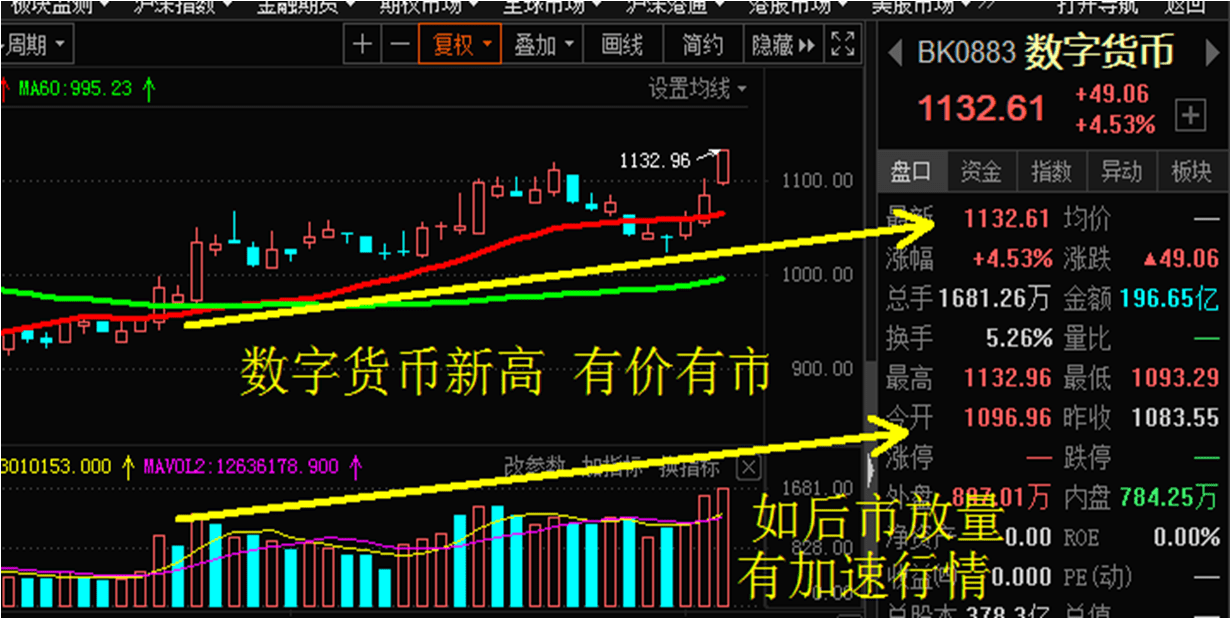 山东小麦最新价格，时代的见证与实时市场动态