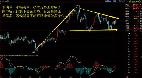 股指期货最新消息获取指南及动态更新