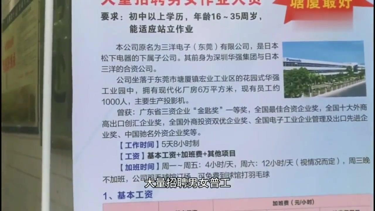 东莞塘厦最新招聘信息全面解析，观点论述与岗位概览