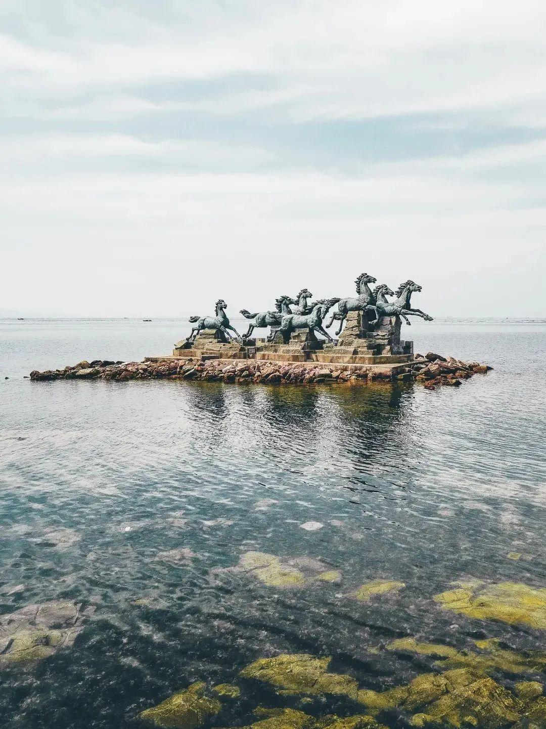 厦门土拍最新动态，自然美景探索之旅的心灵宁静之旅