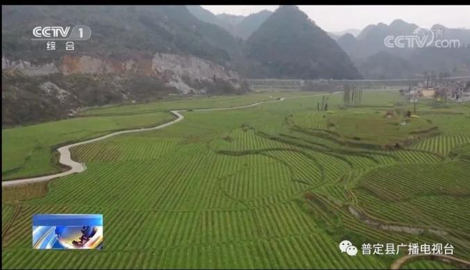 夹江新闻最新动态，小巷深处的独特风味