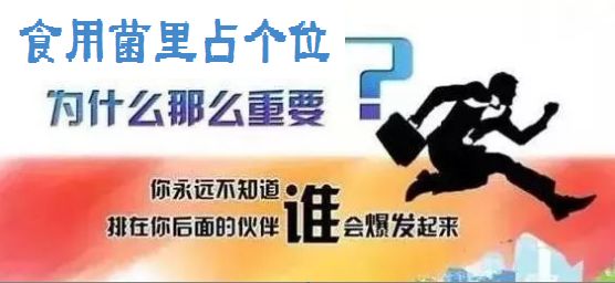 开州网最新招聘启事，变化中的自信与成就感等你来挑战！